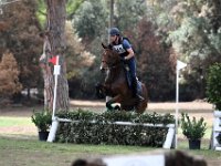 115 Gandolfi Riccardo Delfina Dea